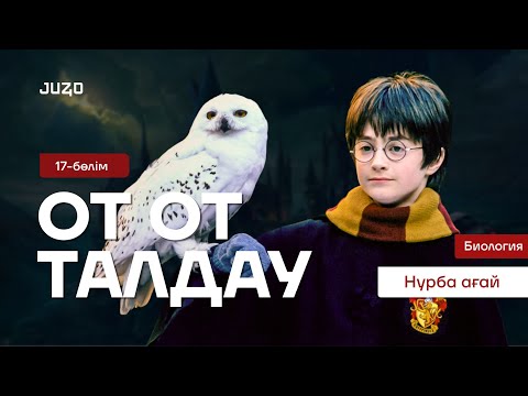 Видео: ОТ ТАЛДАУ №17 - НУРБА АҒАЙМЕН / БИОЛОГИЯ ҰБТ 2025