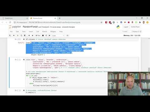 Видео: RandomForest - очень просто о том, как использовать классификацию в Python
