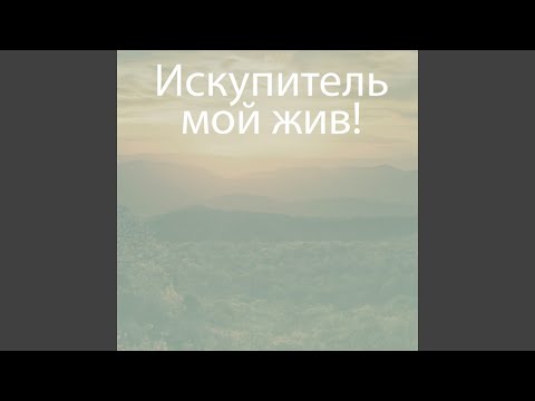 Видео: Свершилась казнь