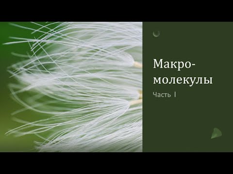 Видео: Макромолекулы (часть 1)