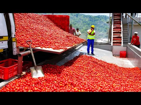 Видео: Самые Нелепые Ошибки Рабочих, Снятые на Камеру