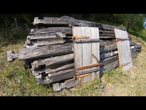 Видео: Зашел в ЛЕС и обалдел! Сколько там всего можно найти!