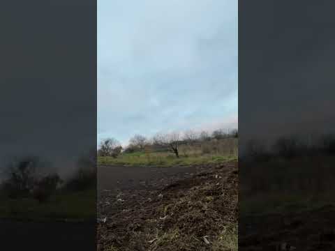 Видео: 1 листопада 2025 р.