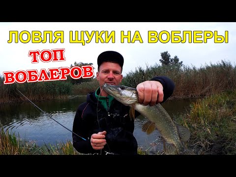 Видео: Ловля щуки на воблеры на мелководье . Топ воблеров на щуку