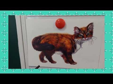 Видео: Тема:,,Свійські тварини."