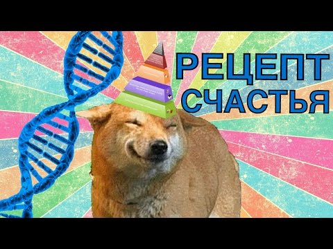 Видео: Как стать счастливым? Научный рецепт счастья, суть счастья