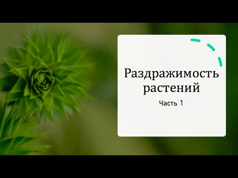 Видео: Раздражимость Растений