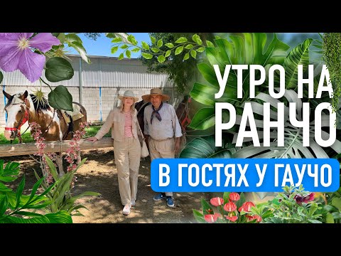 Видео: Аргентинское Ранчо. В гостях у гаучо. Полный релакс.