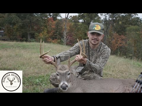 Видео: Мой новый самый большой олень в моей жизни!! (Охота на оленей в пригороде)