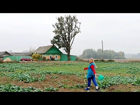 Видео: НАША ЖИЗНЬ на КРАЮ БЕЛОРУССКОЙ ДЕРЕВНИ. Вернулись домой.