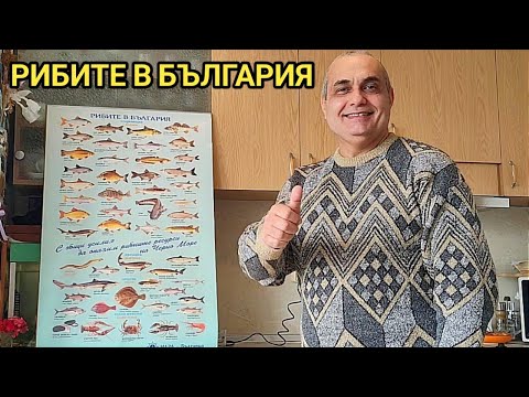 Видео: Рибното богатство на България! Сладководни и морски риби в нашата родина обект на спортен риболов!