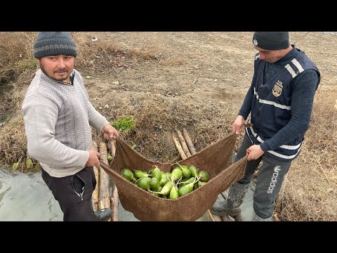 Видео: Ферганская долина во всей Красе! Узбекистан!Жизнь Кишлака!