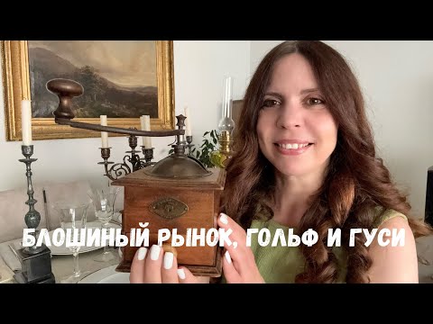 Видео: БЛОШИНЫЙ РЫНОК, ГОЛЬФ И ГУСИ