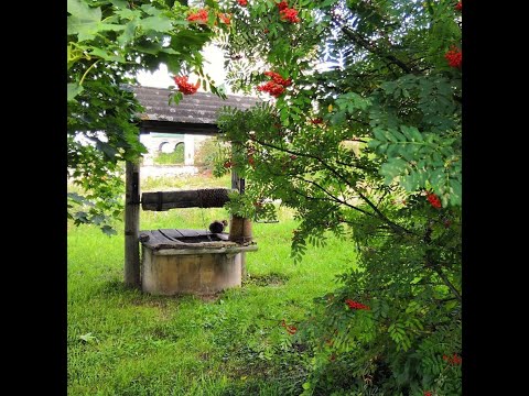 Видео: Домик у колодца. Душевная песня.слова-Nadja Drebert.муз.,исп.,-Виктор Бекк.