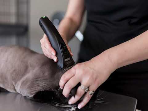 Видео: Демо-версия Lion