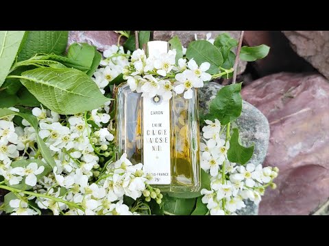 Видео: ПарфюМир: Eau De Cologne Narcisse Noir от Caron