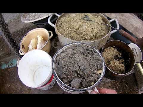 Видео: Каша кроликам, нутриям  содержание