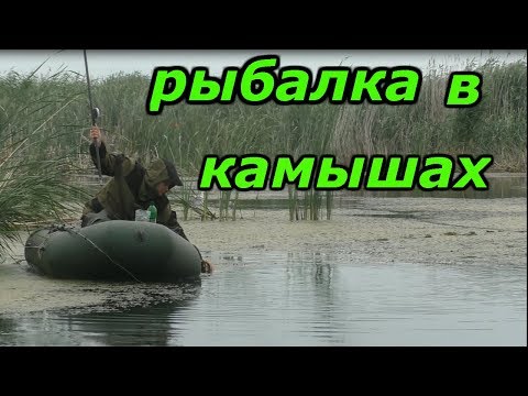 Видео: Рыбалка в камышах на поплавок.Рыбалка с ночёвкой.Рыбалка на карася с лодки