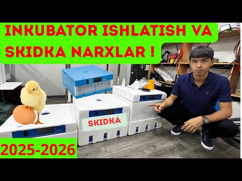 Видео: Inkubator qo’llanmasi Инкубатор колланмаси ☎️+998887600577 #2025 #inkubator #jo’ja #tovuq #2026