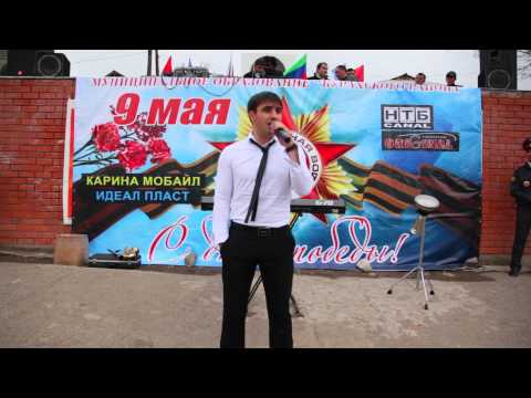 Видео: Тельман къацу вилер