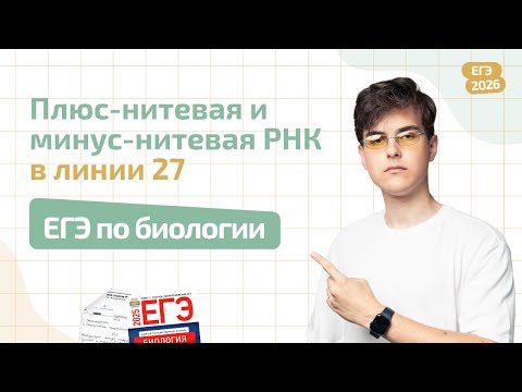 Видео: НОВЫЙ ТИП ЗАДАЧ В ЛИНИИ 27 ЕГЭ ПО БИОЛОГИИ | ПЛЮС-НИТЕВАЯ И МИНУС-НИТЕВАЯ РНК