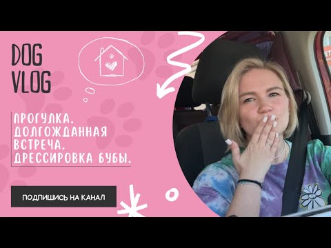 Видео: DOG VLOG: Прогулка. Долгожданная встреча. Дрессировка Бубы.