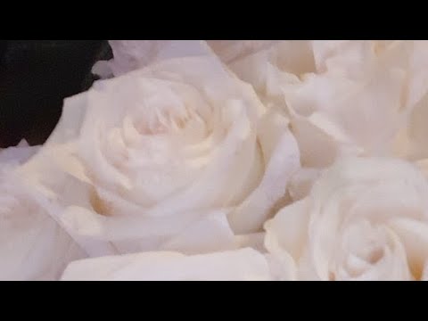 Видео: Его истинные намерения ☝️