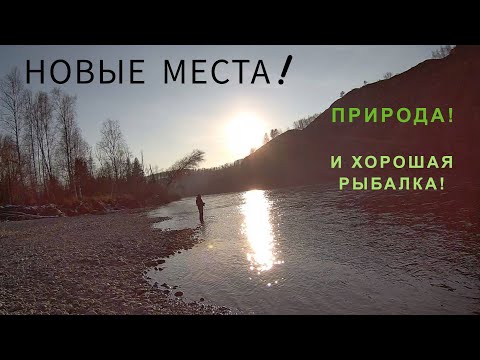 Видео: Казыр. Закрытее сезона. Открыли для себя новые места#рыбалка2024 #нахлыст