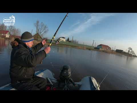 Видео: VLOG: Корюшка! Первая в начале февраля 2020. Мысовка.