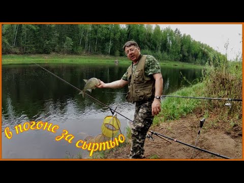 Видео: В Погоне за СЫРТЬЮ  р. ЛУГА . сезон 2023.