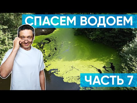 Видео: Спасем водоем часть 7. Рассказываю подробно про лабораторные исследования воды и что стало с прудом.