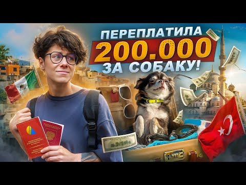 Видео: ГОД В ПУТЕШЕСТВИИ С СОБАКОЙ ПО МИРУ! ЧТО Я УЗНАЛА?!