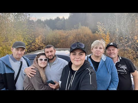 Видео: Лесная студия. 