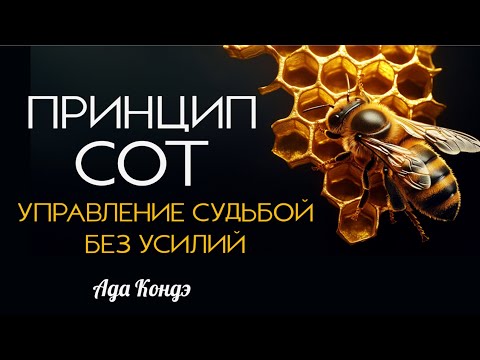 Видео: УПРАВЛЕНИЕ СУДЬБОЙ БЕЗ УСИЛИЙ. ПРИНЦИП СОТ И БЕССОЗНАТЕЛЬНОЕ. Ада Кондэ
