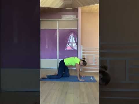 Видео: Утренняя зарядка, утренняя гимнастика