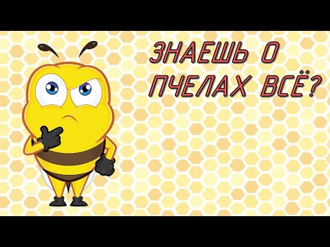 Видео: Док. фильм Молчание пчел/Silence of the Bees. Когда исчезнут пчелы? Зарубежное пчеловодство