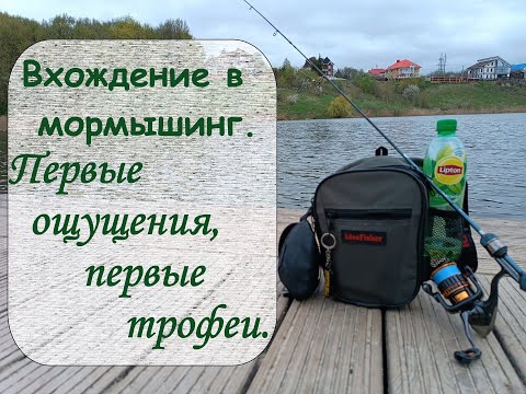 Видео: Вхождение в мормышинг. Первые ощущения, первые трофеи.