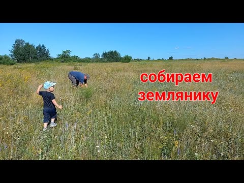 Видео: Готовь сани летом, а телегу зимой. жизнь в деревне