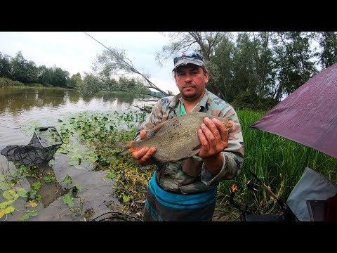 Видео: Emajõgi соревнования 1