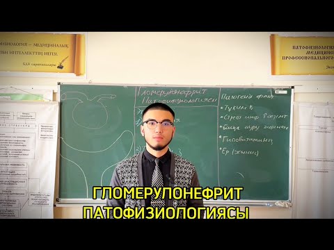Видео: ГЛОМЕРУЛОНЕФРИТ ПАТОФИЗИОЛОГИЯСЫ | 2- БӨЛІМ | БАЗАЛЬДІ МЕМБРАНА БҰЗЫЛЫСЫ.