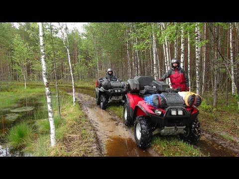 Видео: Путешествия на квадроциклах.  Три медведя в тайге.  Часть 1