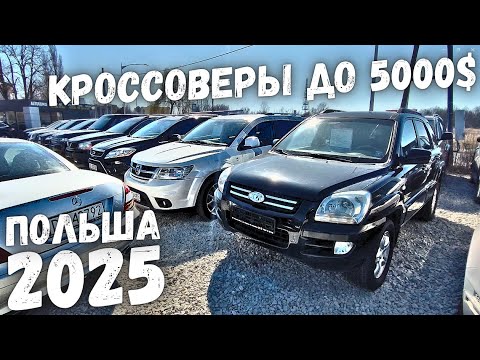 Видео: ВЫПУСК №4: АВТОПЛОЩАДКА ЦЕНЫ ДО 5000$ ПОЛЬША 2025 | Вроцлав | MILLIONCAR 2025