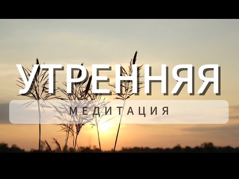 Видео: Утренняя медитация 🧘