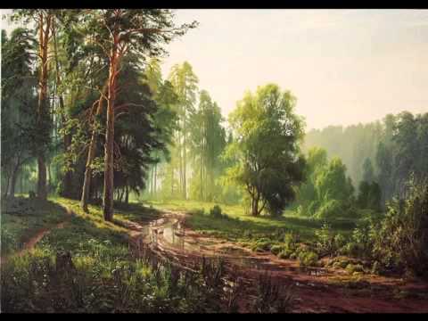 Видео: С  Басов  Пейзажі