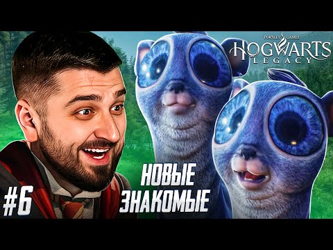 Видео: МОЙ САМЫЙ ЛУЧШИЙ НОВЫЙ ДРУГ - Hogwarts Legacy #6