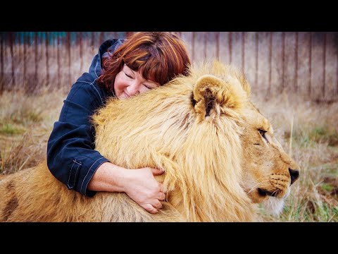 Видео: Мама впервые рассказывает ЧТО СЛУЧИЛОСЬ, как произошло столкновение между львом и Олегом Зубков!