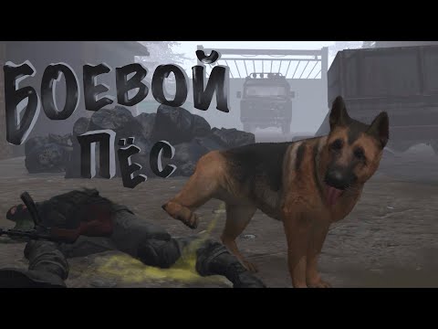 Видео: Боевой ПЁС НА ЗАДАНИИ! (Convergence VR)