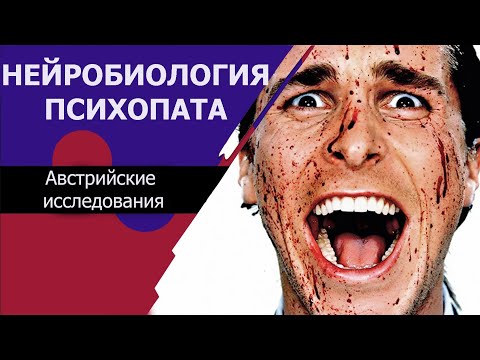 Видео: Психопаты и злокачественные нарциссы. Нейробиология и психоанализ.