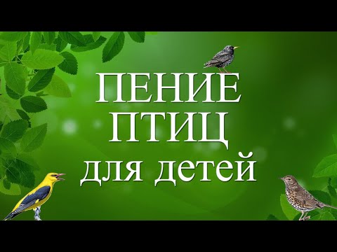Видео: Пение птиц для детей
