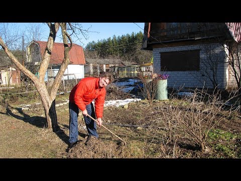 Видео: Что делать в саду в апреле  Первые работы в саду